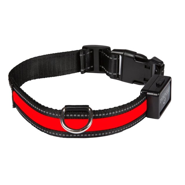 Collar USB de Luz Eyenimal Roja para Perro Chico