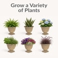 thumbnail image 6 of Sunnydaze Darcy 16" x 16" x 13" Round Beige Polyresin Outdoor Planter Pot, 6 of 16