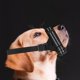 thumbnail image 1 of para perros agresivos con correas ajustables, protector, cómodo, para entrenamiento de perros, portátil duradero para mascotas, , l L Yinane Bozal para perros, 1 of 8