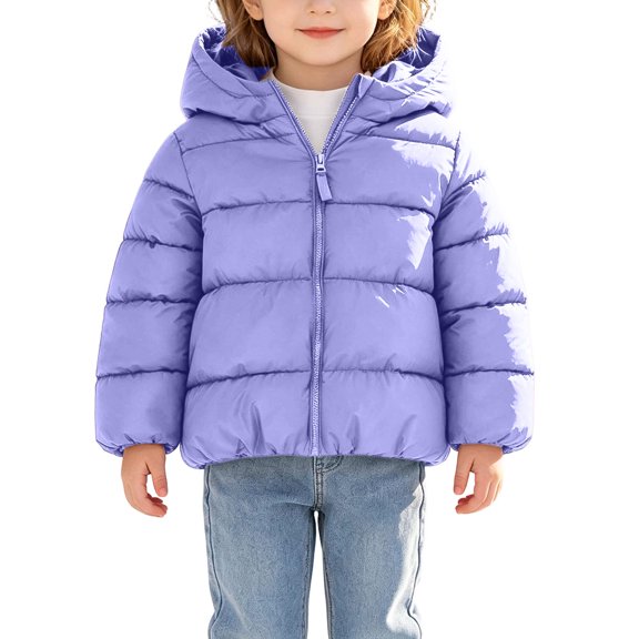 Dnhxils Kids Winter Jacket Girls Fleece Puffer Jacket Winter Warm Hooded Coat for Toddler Girls Fashion Outerwear Purple 3-4 Years