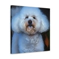 thumbnail image 2 of Paolo V. - Canvas, 2 of 10
