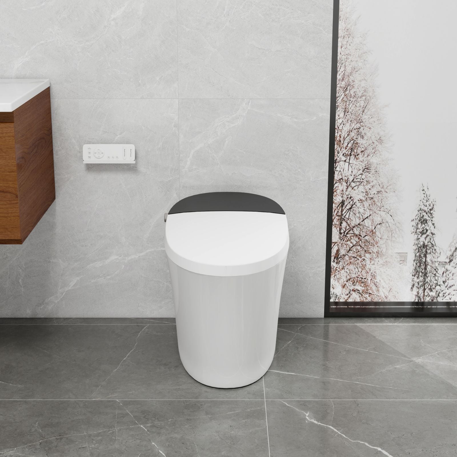 Bidet Toilets