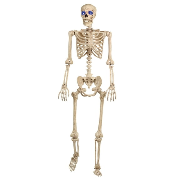 60 Inch Light Up Skeleton