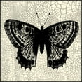 thumbnail image 2 of Vision Studio 15x15 White Modern Wood Framed Museum Art Print Titled - Classical Butterfly II, 2 of 4