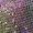Multicolour, variant on Shiny Metallic Holographic Crop Tank Tops for Women Sparkly Sequins Boat Neck Crop Top Disco Party Clubwear