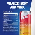thumbnail image 2 of Red Bull Winter Edition Energy Drink, Fuji Apple & Ginger, 12 fl. oz. Can, 114mg Caffeine,  Pack of 6, 2 of 8