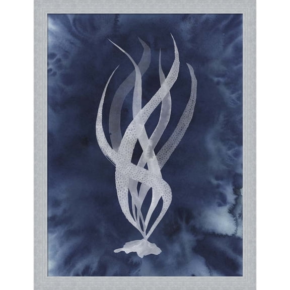 Great Art Now Midnight Kelp II by Grace Popp, Framed Wall Art, 16.5W x 21.5H