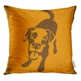 thumbnail image 1 of RYLABLUE Housse de Coussin Dessin de Races de Chiens Labrador Retriever Orange Noir, 1 of 1