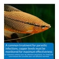 thumbnail image 2 of Kit de test d'eau d'aquarium en cuivre API, 2 of 6