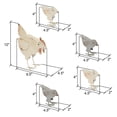thumbnail image 6 of Lila's Dual-Tone Tabletop Metal Farmhouse Henhouse Set of 5, 6 of 6