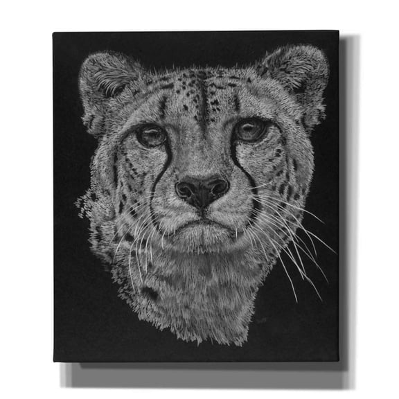 Epic Graffiti 'Imperial' by Barbara Keith, Canvas Wall Art, 26"x30"