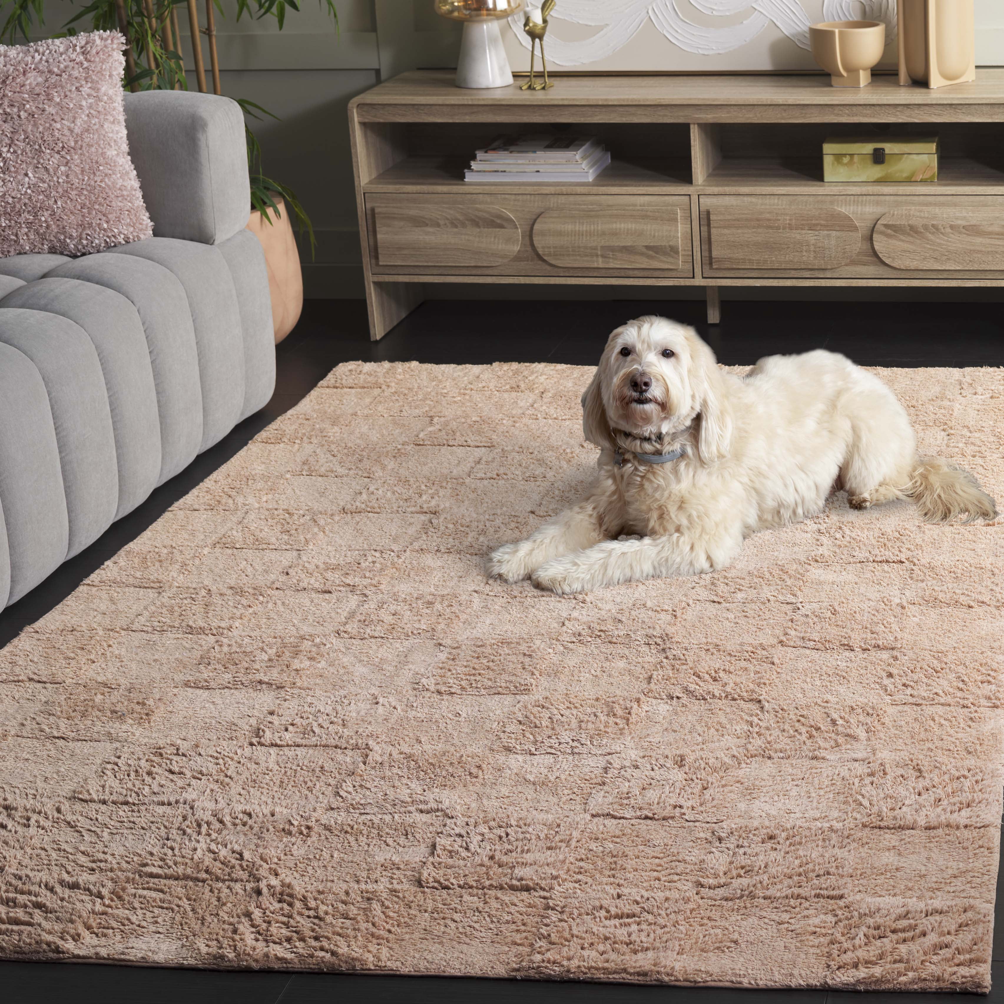 Safavieh Easy Care Coty Checkered Area Rug, Beige, 6' x 9'