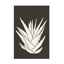 Trademark Fine Art jay stanley Agave 2 Canvas Wall Art