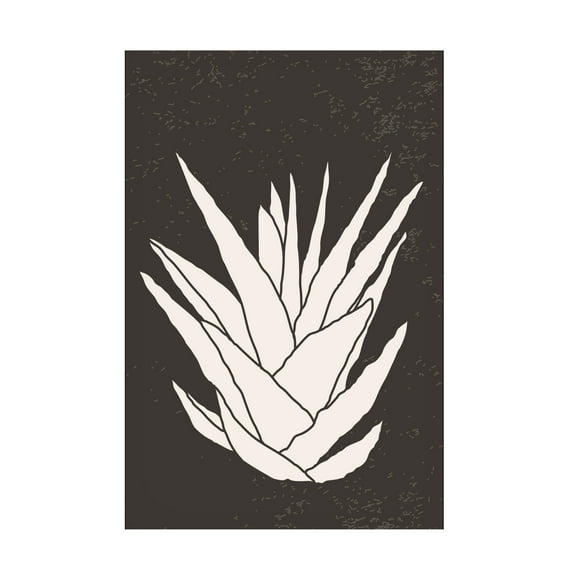 Trademark Fine Art jay stanley Agave 2 Canvas Wall Art