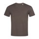 thumbnail image 1 of Stedman - Camiseta modelo Stars para hombre (Chocolate oscuro), 1 of 2