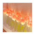 thumbnail image 5 of Handmade Artificial Preserved Flower Small Night Light Diy Material Birthday Gift, 5 of 5