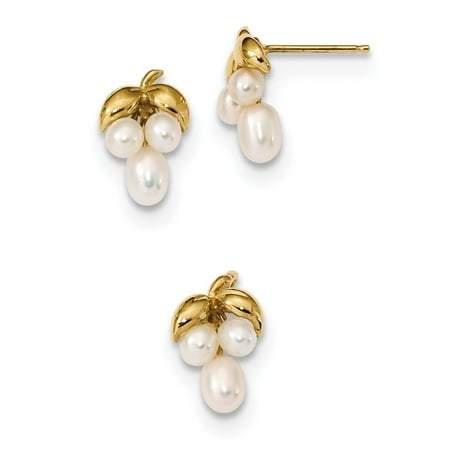 Cultured Pearl Yellow Brooch Roy Rose Jewelry 14k Yellow Gold 3-4mm White Rice Freshwater Cultured Grape-style Cluster Pearl Earring and Pendant Set ()