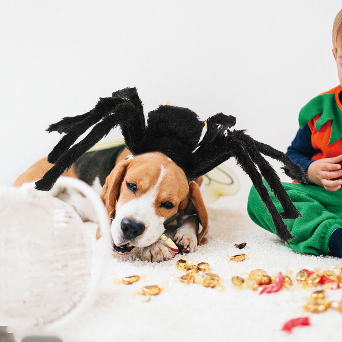 Halloween Pet Spider Style Clothes Horrorible Creative Pet Cosplay ...