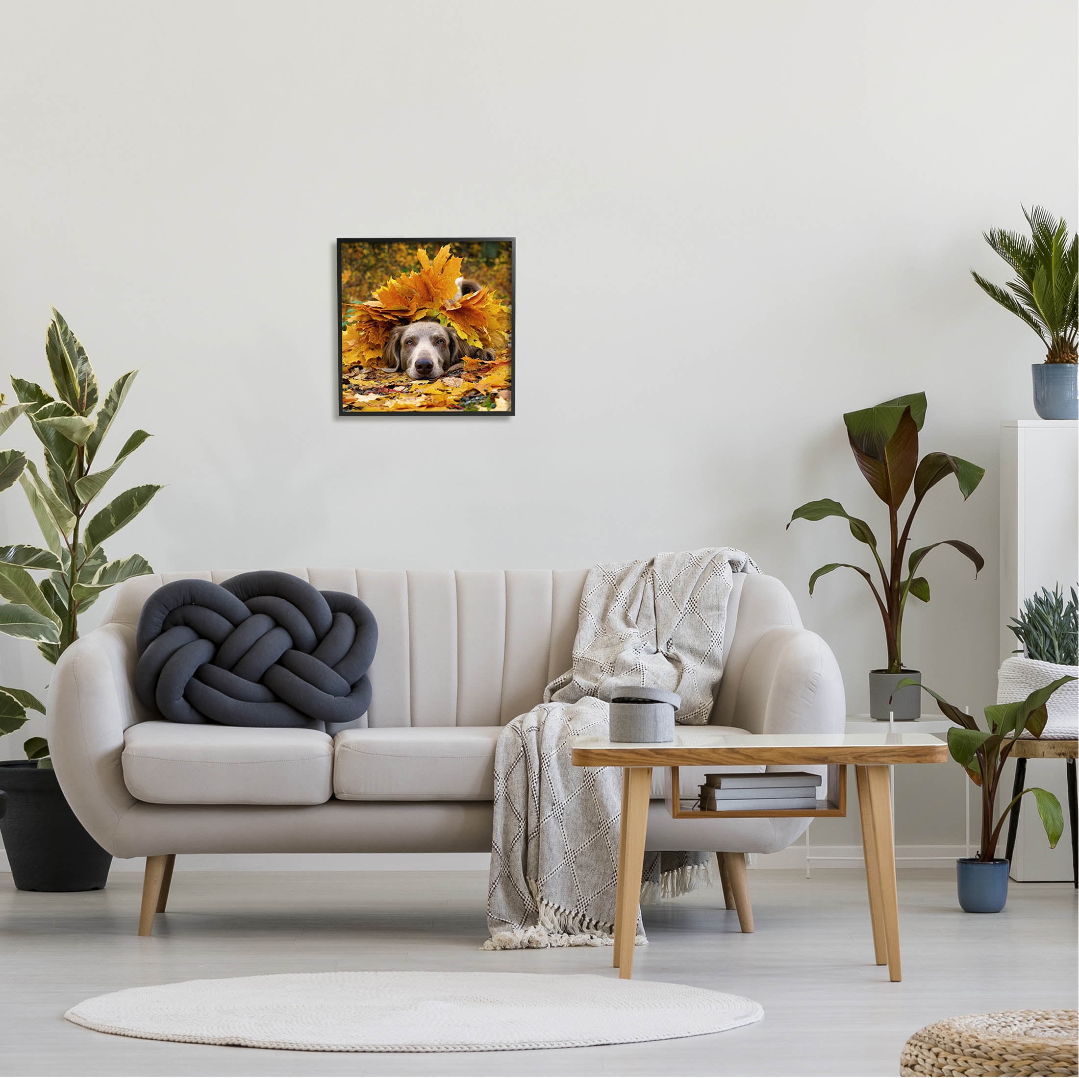 Stupell Industries Happy Puppy Autumn Foliage Photograph Black Framed Art Print Wall Art, Design by Lil' Rue