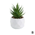 thumbnail image 6 of Silicone Simulated Succulent Plants for Indoor Use with Realistic Look, Durability, and No Maintenance, 6 of 9