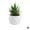 B, variant on Artificial Potted Plant Succulent W/ Pot Small Faux Fake Cacti In/Outdoor Decor A8N7