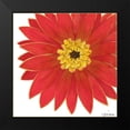 thumbnail image 2 of Vess, June Erica 12x12 Black Modern Framed Museum Art Print Titled - Bright Blossoms I, 2 of 5