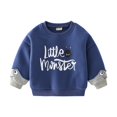 thumbnail image 3 of YOUYEDIAN Toddler Boys Fleece Sweatshirts Long Sleeve Crewneck Dinosaur Pullover Sweater, 3 of 5