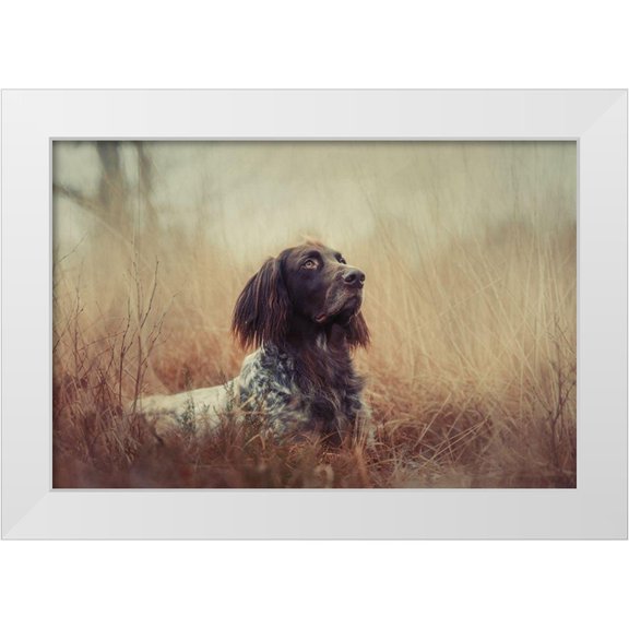 Willers, Heike 14x11 White Modern Wood Framed Museum Art Print Titled - Beautiful Aragorn