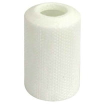 Bernard 7010024 Insulator Tip, Gasless