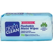 Nice Pak Products 1498259 Nice N Clean Moist Wipe, 7 x 5.5 in. - Pack of 96