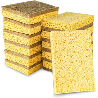 Eco sponges 2 Types Natural Plant Based Scrub Sponge 8 Pack Palm Fiber Scrubbing  Sponge with Non Scratch Compostable Sponges Durable No Odor Kitchen Scrubber  Ec… in 2023