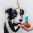 thumbnail image 4 of Bandana de boda formal FUAMEY para perros con pajarita negra y talla M, 4 of 7