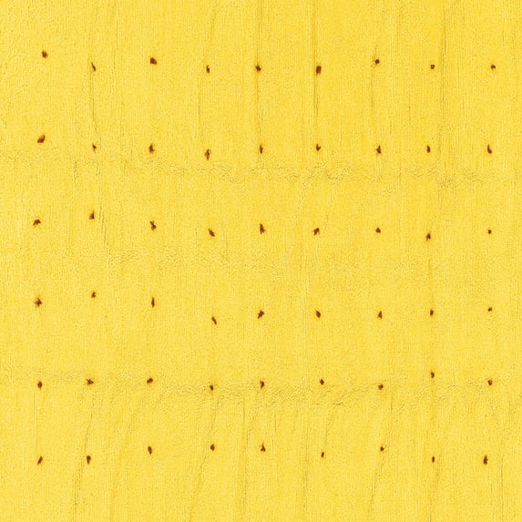 Ahgly Company Machine Washable Indoor Square Solid Yellow Modern Area Rugs, 3' Square