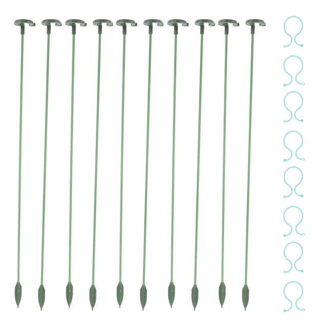 Miangastore 1 Set of Flower Support Rods Bonsai Brackets Anti-falling Fixing Poles (Green)