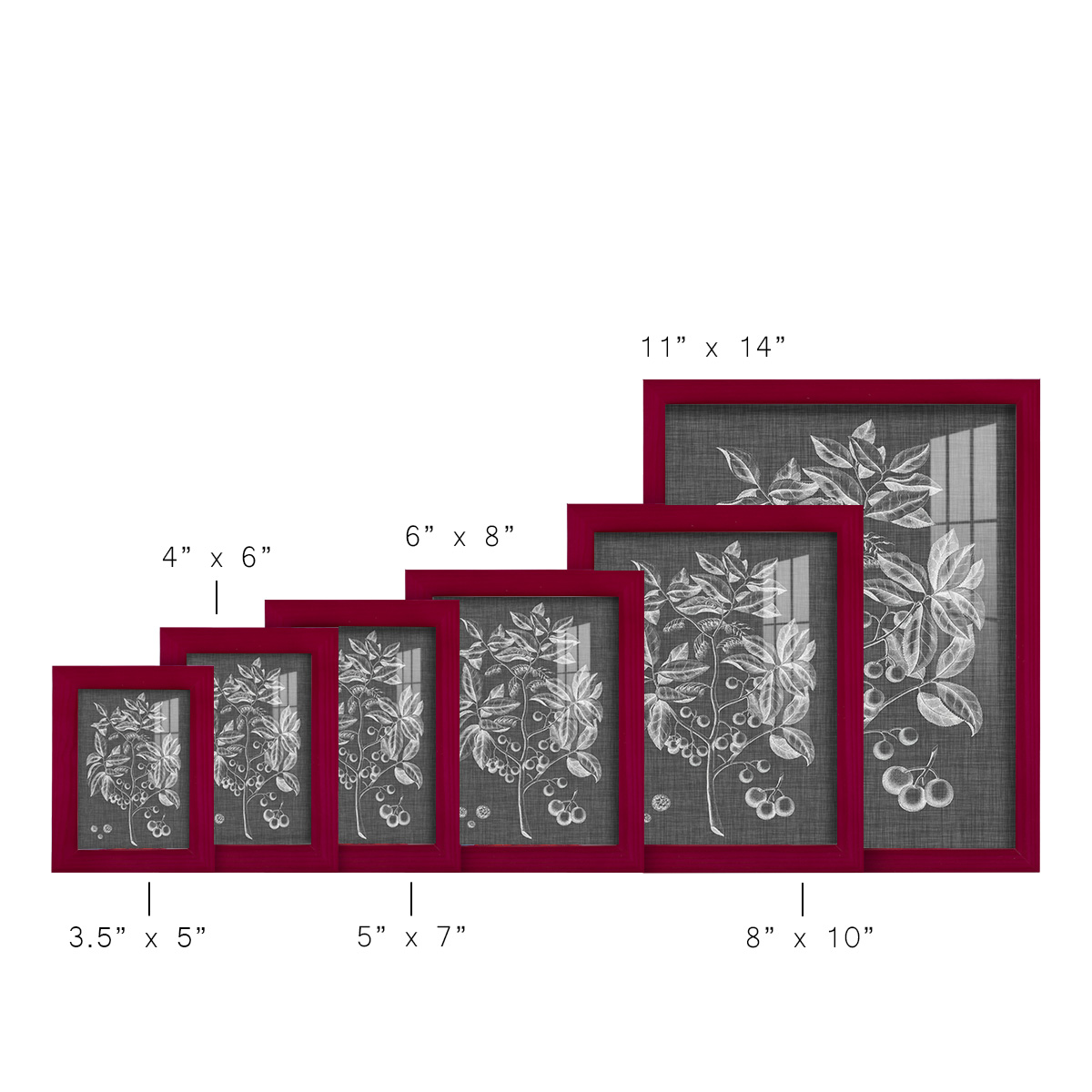 Graphic Foliage VI - Framed Print w/glass - Cherry Red