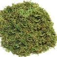 thumbnail image 1 of ZYAPA 10OZ Fake Moss Artificial Moss for Potted Plants Greenery MossHome Decor Fairy Garden Crafts Wedding Decoration (Fresh Green), 1 of 6