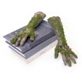 thumbnail image 4 of Halloween Decoration, Realistic Mossy Broken Hands, Flexible Zombie Arms Prop for Indoor Outdoor Haunted House, Yard Party, Creepy Halloween Decoration Horror Display, 4 of 5