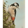 thumbnail image 2 of Silver, John 15x18 Gold Ornate Wood Framed with Double Matting Museum Art Print Titled - WoodPecker and Ivy, 2 of 4
