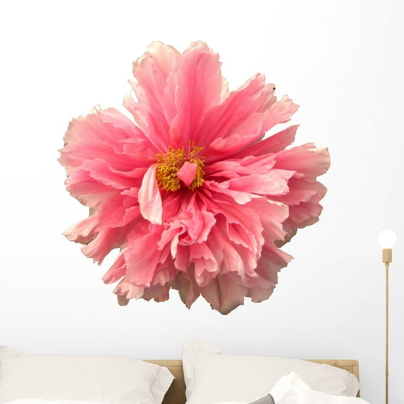 Peony Wall Mural by Wallmonkeys Peel and Stick Graphic (36 in H x 36 in W) WM280560