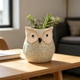 thumbnail image 2 of Cheapark Owl Ceramic Planter Succulent Flower Pot for indoor room windowsill balcony garden plant display area home gardening decor creative ceramic plant container Gift, 2 of 6