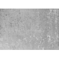 thumbnail image 1 of Ahgly Company Indoor Rectangle Oriental Gray Industrial Area Rugs, 8' x 10', 1 of 4