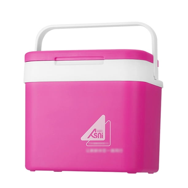 Refrigerador portátil de 10L para coche, cubo de hielo, minirefrigerador y
