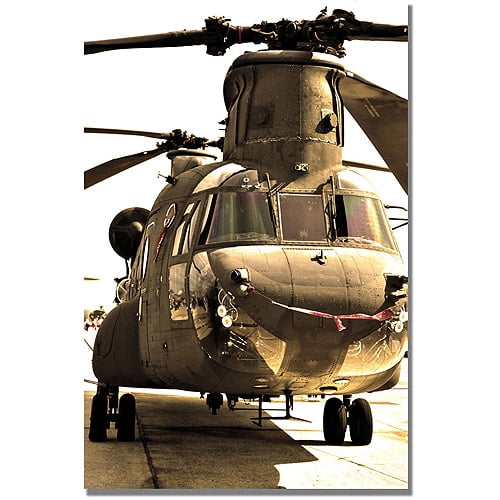 Trademark Fine Art "Chinook" Canvas Wall Art by MCat