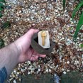 thumbnail image 2 of Caja de almacenamiento creativa para llaves de piedra simulada, forma de piedra de resina oculta, 2 of 5