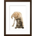 thumbnail image 2 of Cat and Dog Labrador Puppy Kissing Norwegian, Framed Art Print Wall Art Sold by Art.Com, 2 of 5