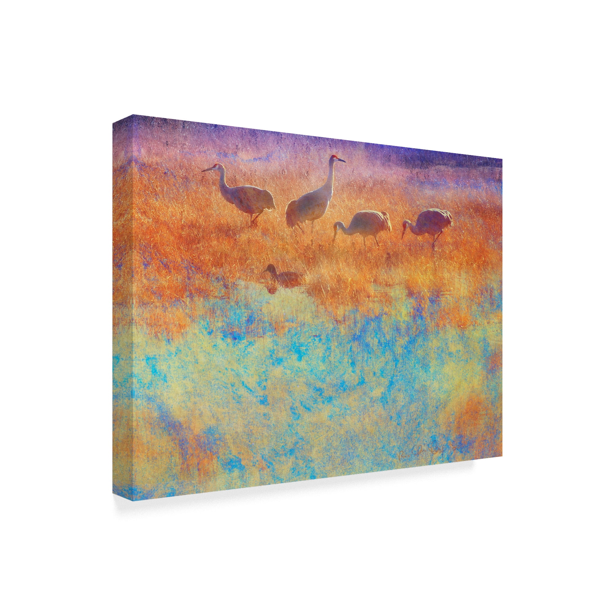 Trademark Fine Art 'Cranes in Soft Mist' Canvas Art by Chris Vest