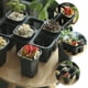 thumbnail image 3 of Maceta para bonsái (2 unidades, 6 agujeros, soporte para maceta, soporte pequeño para plantas y suculentas), 3 of 6