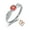 SS925/Platinum, variant on Mementos USA Custom Class Rings Sterling Silver for Women High School and College-Platinum-Dainty