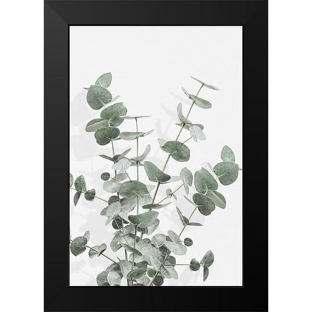 Artographie Studio 13x18 Black Modern Framed Museum Art Print Titled - Eucalyptus Creative 16