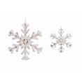thumbnail image 1 of Duo Flocon De Neige D'Hiver, 1 of 1